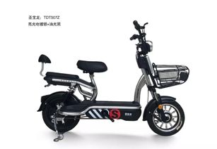 代理圣寶龍電動車一年可以掙多少錢