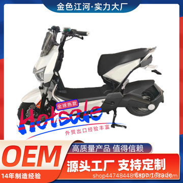 進出口外貿電動車雙人電動自行車男女款上班電瓶車海外專供批發