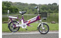 電動車廠家 電動車廠家直銷 電動車廠家供應 凱馳供