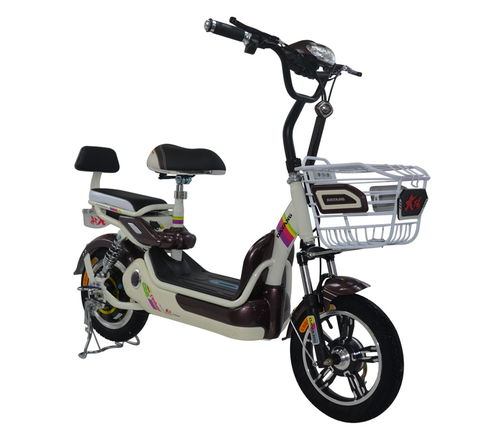 星火升級(jí)版價(jià)格及圖片 專賣店 參數(shù) 評(píng)論 全球電動(dòng)車網(wǎng)