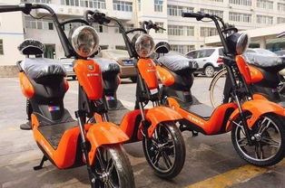 共享電動(dòng)車 百科