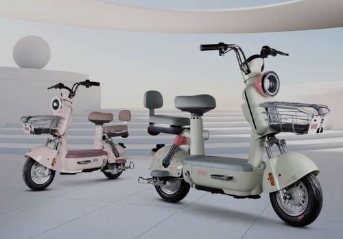 3款全新電動自行車上市,全國可以上牌,潮流時尚,適合上班代步