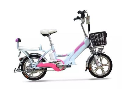 速知！普寧啟動電動自行車登記工作